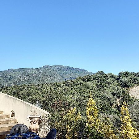 Grand Appartement Spacieux A 5 Min Du Centre Ville Ajaccio  Eksteriør bilde